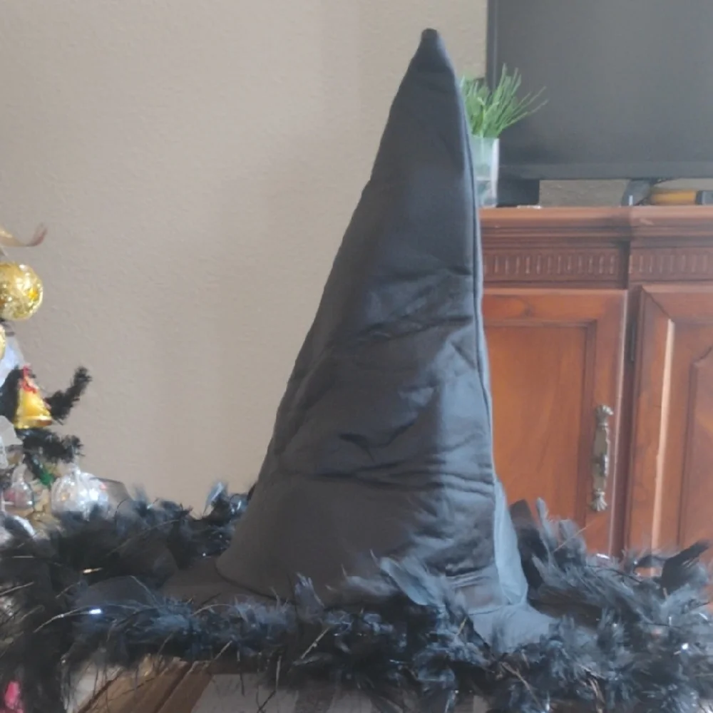 Black Witch Hat with Feather Trim